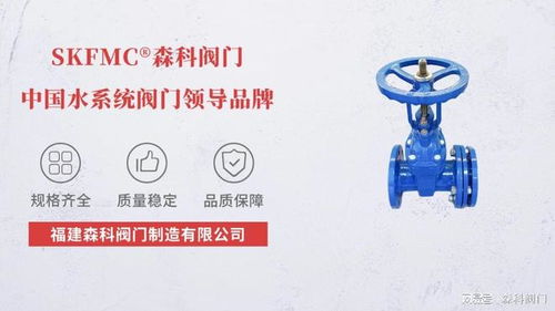 伸缩软密封闸阀 知名生产厂家与技术服务的综合解析